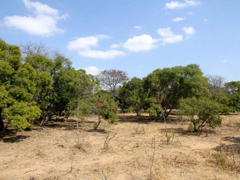 Vacant Land in MODITLO NATURE RESERVE - Photo 2