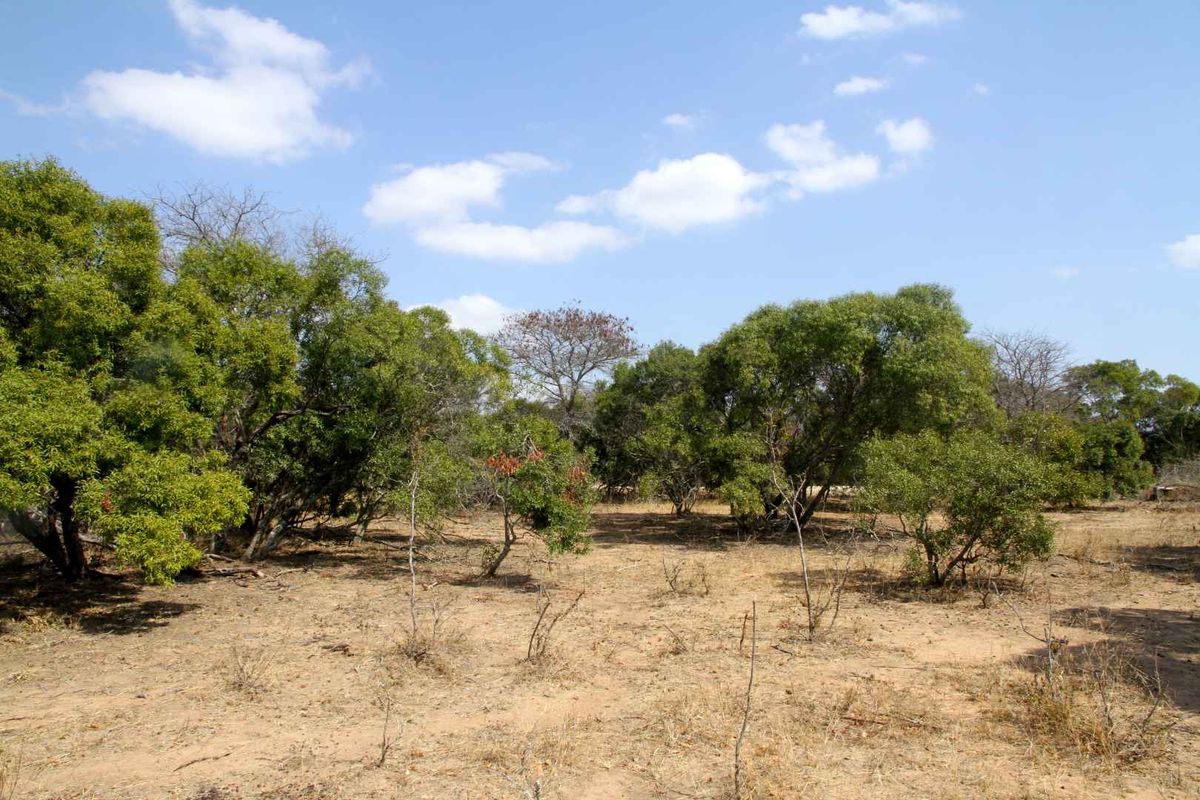 Vacant Land in MODITLO NATURE RESERVE - Photo 2
