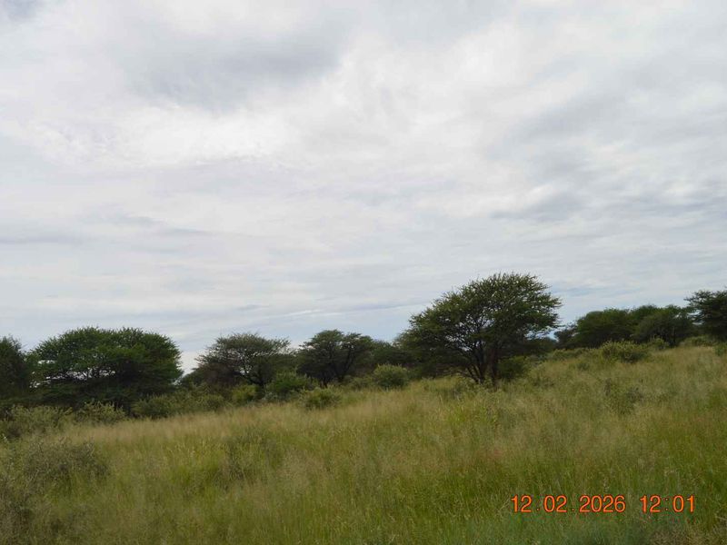 Your Perfect Rural Address - Photo 1
