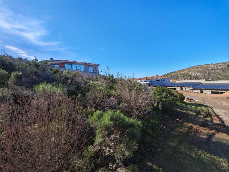 A view of a sloped residential vacant land plot featuring native vegetation and surrounding neighborhood development.