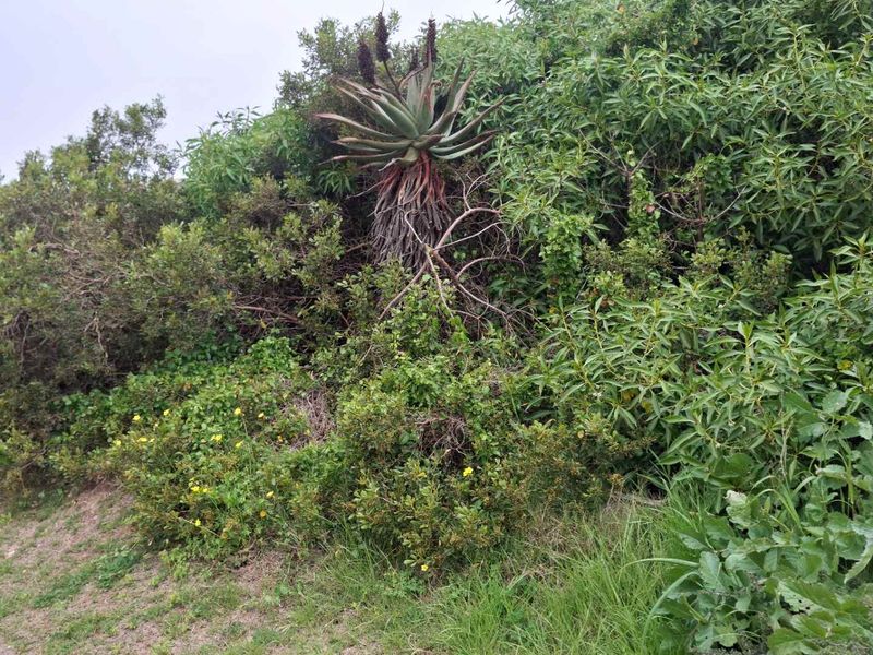 Well-situated stand in prestigious Vleesbaai - Photo 10