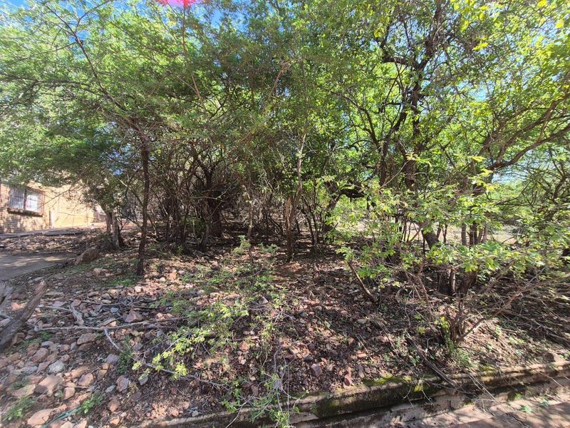 "Own a Slice of Paradise Next to Leeupoort's Greenbelt!" - Photo 9