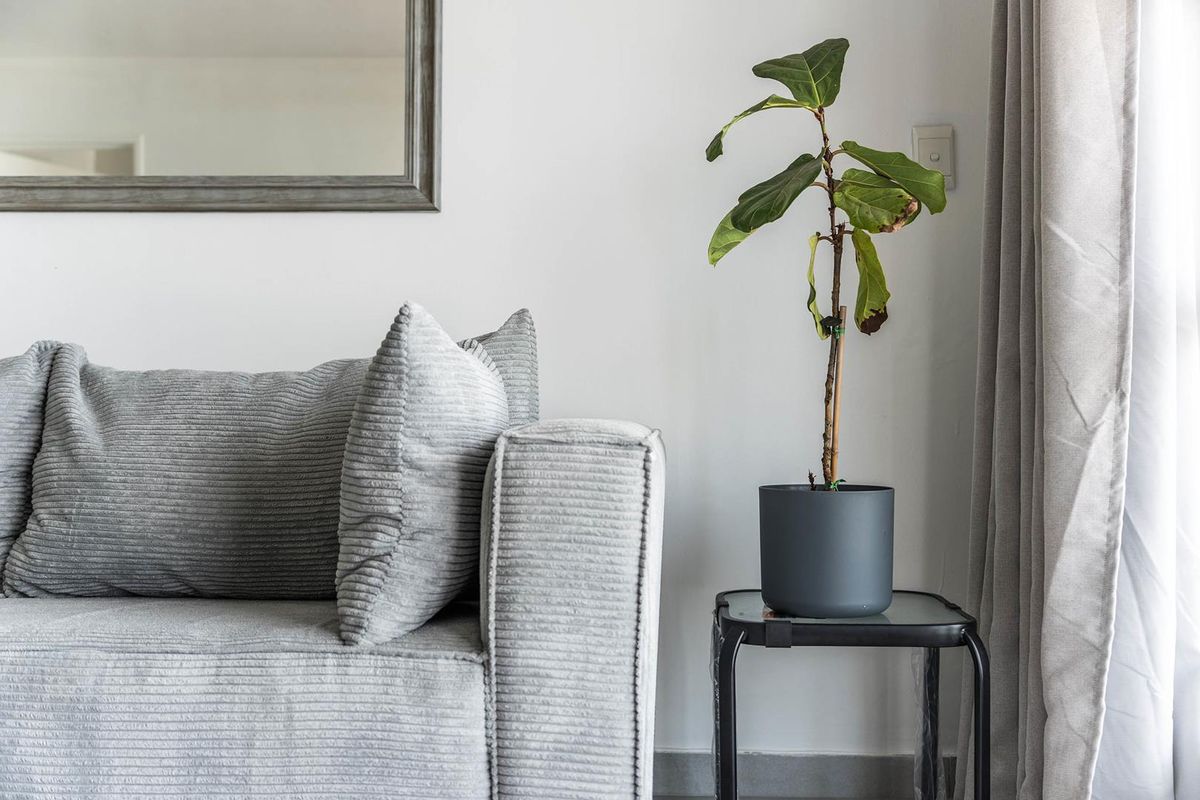 A close-up view of a living room corner featuring neutral wall finishes, a light switch, and an electrical outlet.