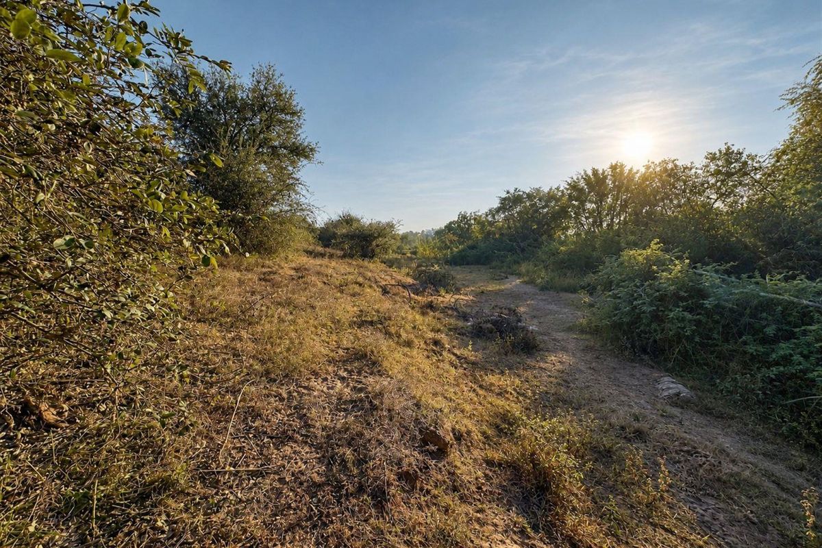 A view of the natural, undeveloped residential land featuring native vegetation and open terrain.
