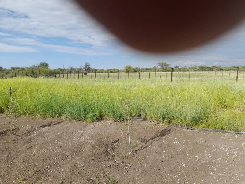 "Exceptional Farm for sale: Livestock, game & Luxury Living Combined - Photo 5