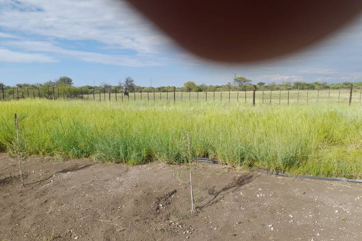 "Exceptional Farm for sale: Livestock, game & Luxury Living Combined - Photo 5