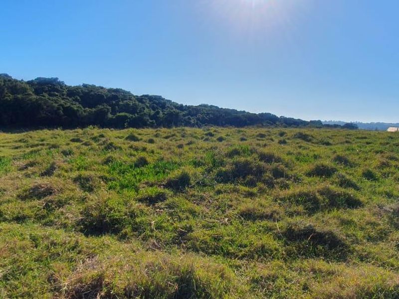 Vacant Plot for Sale - best views in Royalston Wildlife Estate - Photo 10