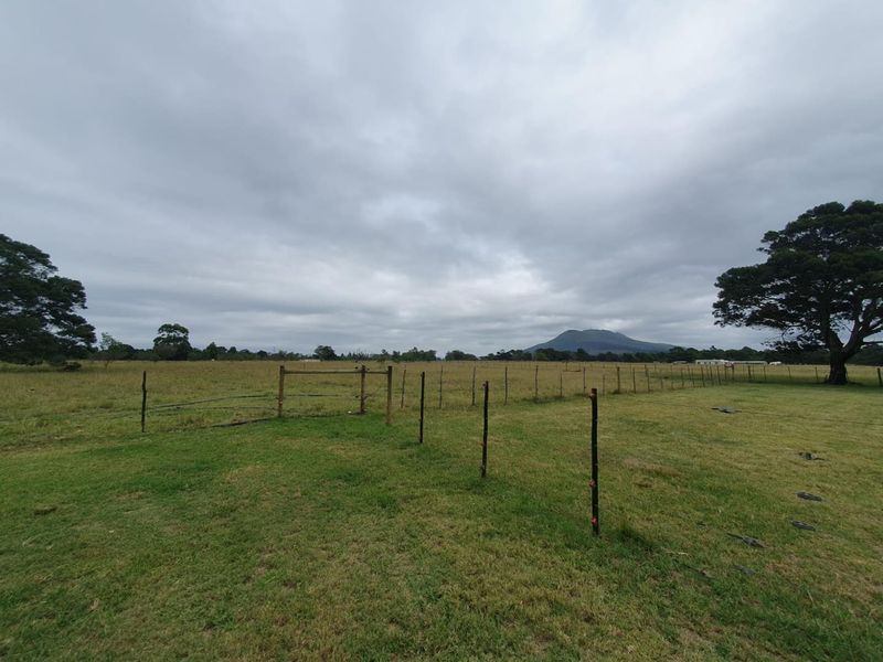 28ha Farm - Photo 3
