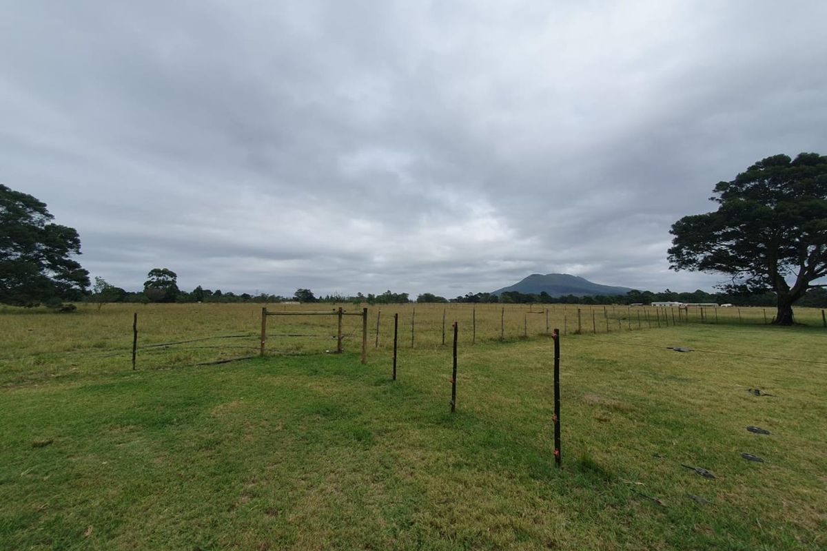 28ha Farm - Photo 3