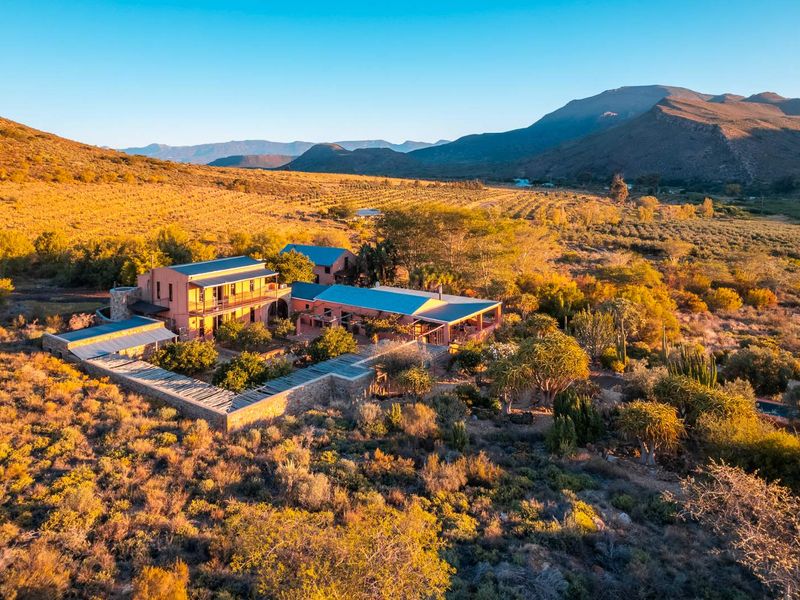 AN INVESTMENT IN PEACE, PURPOSE AND UNPARALLELED BEAUTY - ORGANIC OLIVE FARM FOR SALE - Photo 2