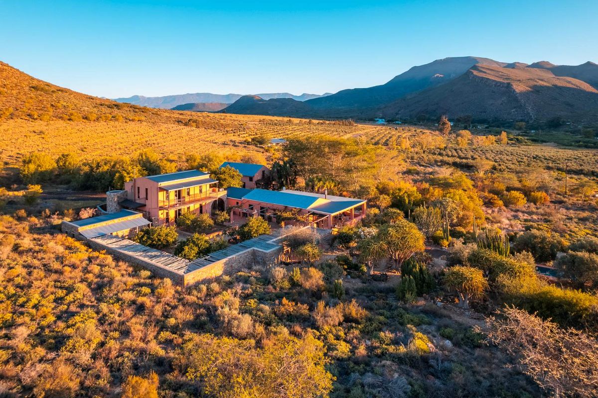 AN INVESTMENT IN PEACE, PURPOSE AND UNPARALLELED BEAUTY - ORGANIC OLIVE FARM FOR SALE - Photo 2