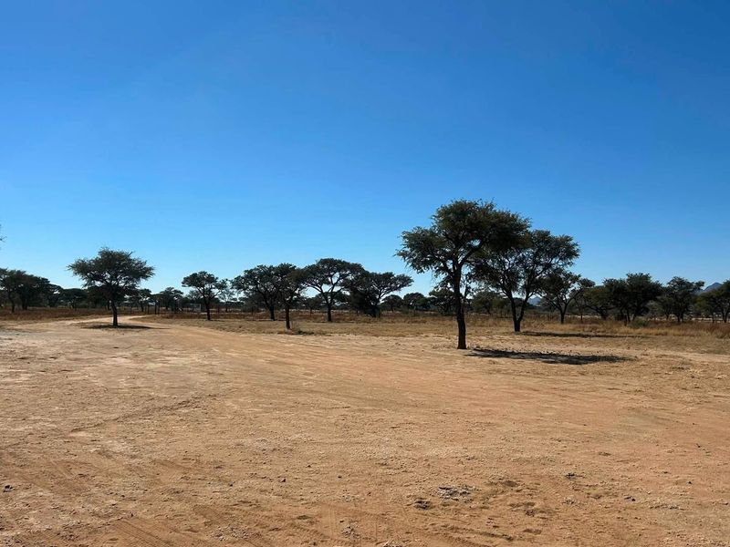 An expansive, open plot of land featuring natural vegetation, scattered indigenous trees, and clear blue skies, suitable for development or agricultural use.