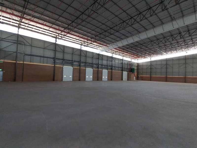 Spacious industrial warehouse featuring high ceilings with exposed steel trusses, concrete flooring, fire sprinkler system, and multiple roller shutter doors for efficient access.