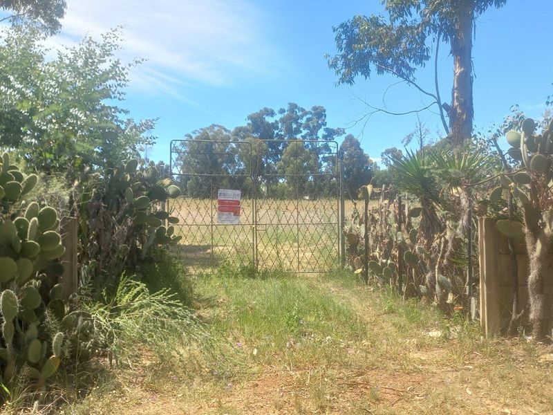 Build Your Dream Home/Business on Expansive Land in Walkerville - Photo 7