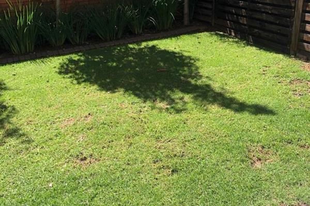 One Bedroom Apartment for Sale in Modderfontein - Photo 3