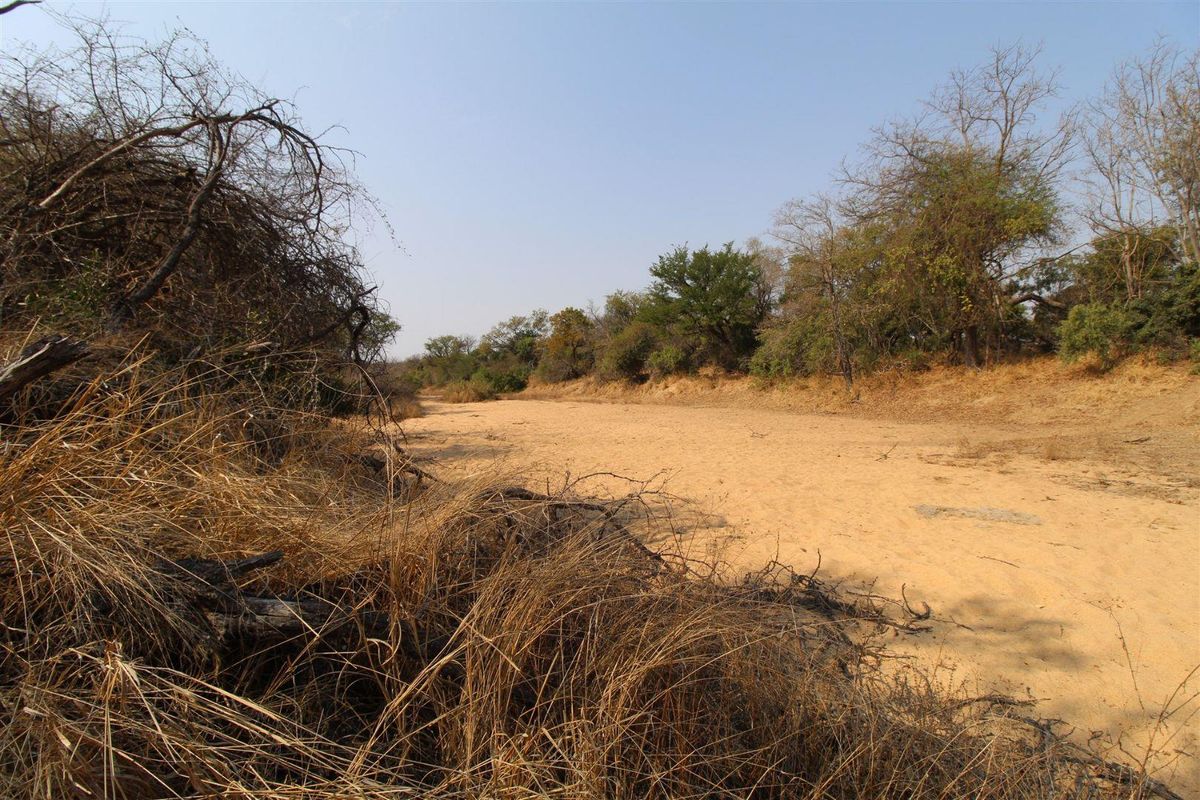 River front stand - Photo 3