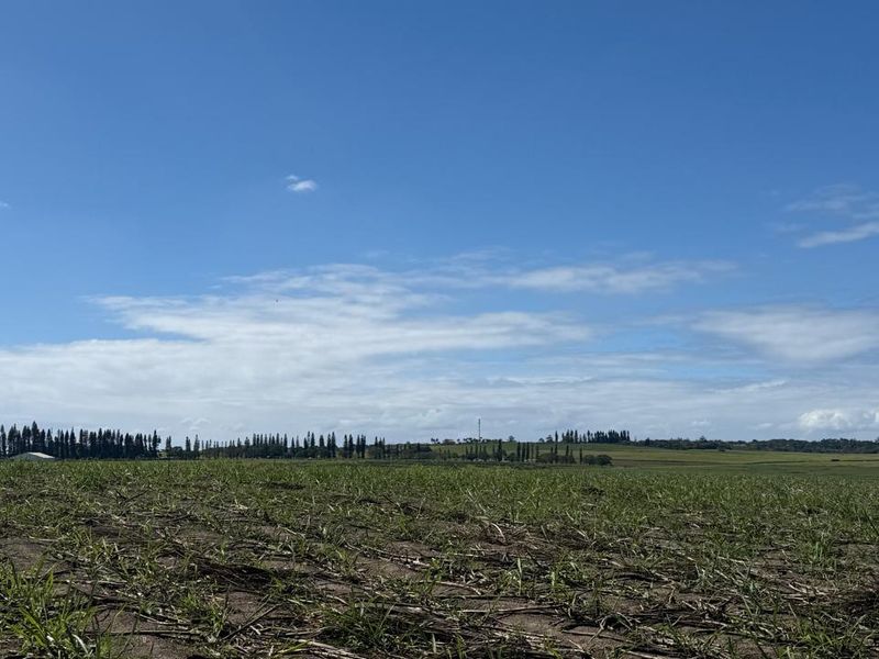 A wide-angle view of open farmland and agricultural fields under a clear blue sky.