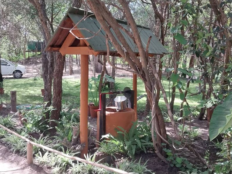 Amazing place in the Zambezi Region, Cabins and Campsite as a going concern! - Photo 4