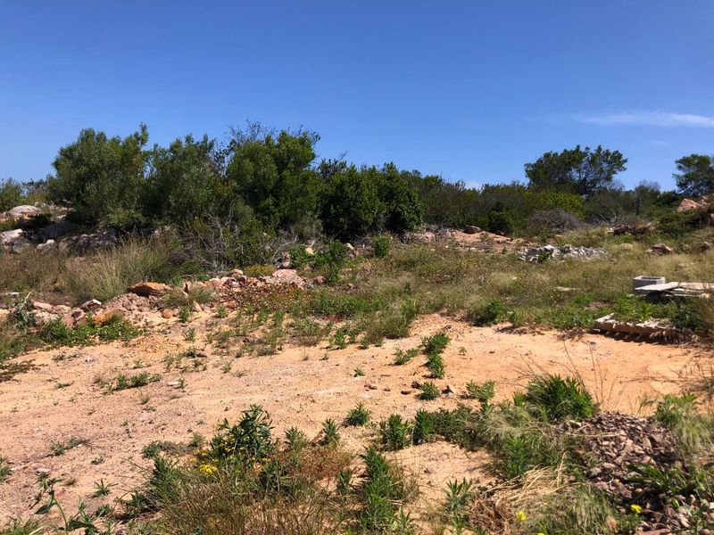 Prime Land with Distant Sea Views Awaits You! - Photo 3