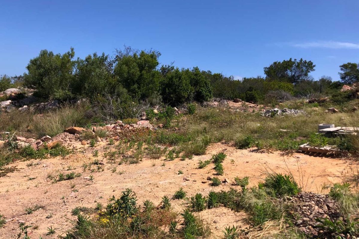 Prime Land with Distant Sea Views Awaits You! - Photo 3