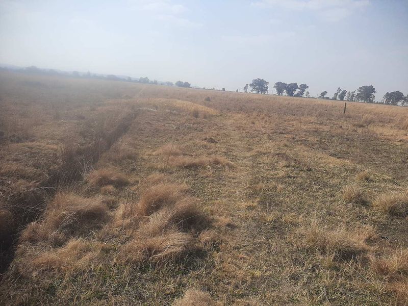 1Ha small holding for farm produce and a contry living - Photo 4