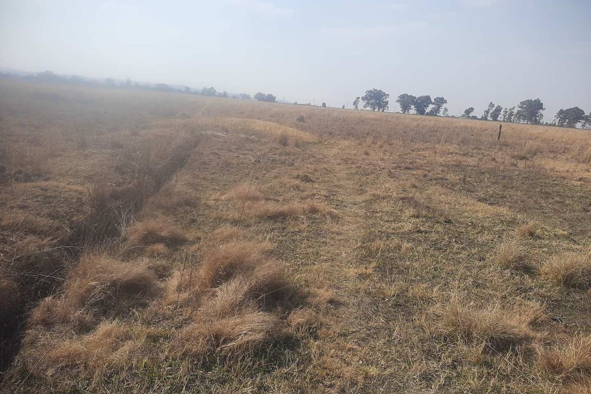 Expansive open land area featuring natural dry grass and perimeter fencing, suitable for agricultural or development purposes on this small holding.