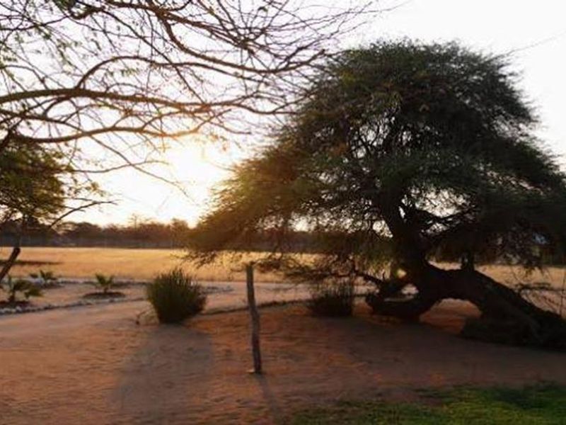 A scenic view of the farm grounds featuring mature trees and natural sandy terrain at sunset.