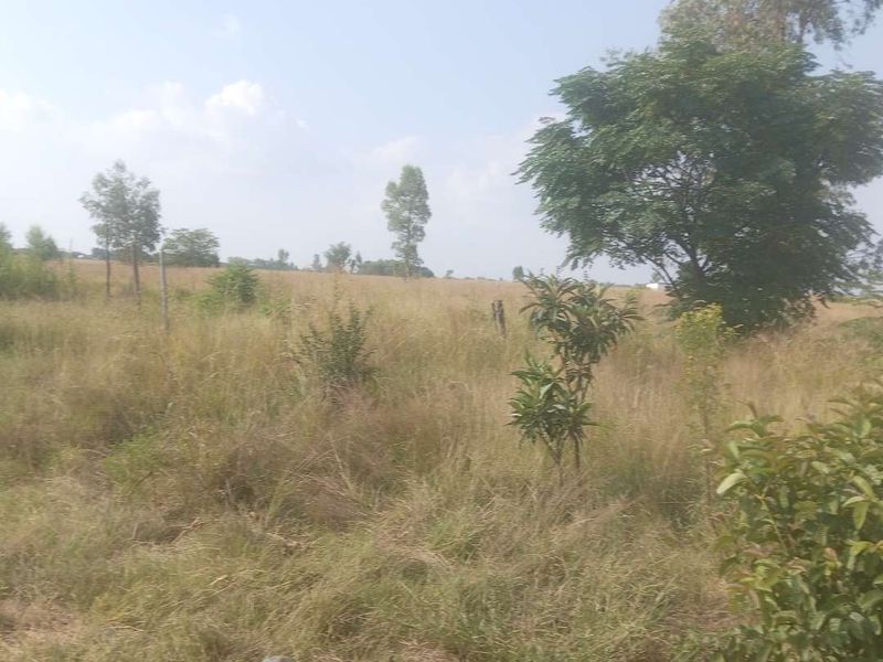 Vacant land in Pretoria North Onderstepoort - Photo 4