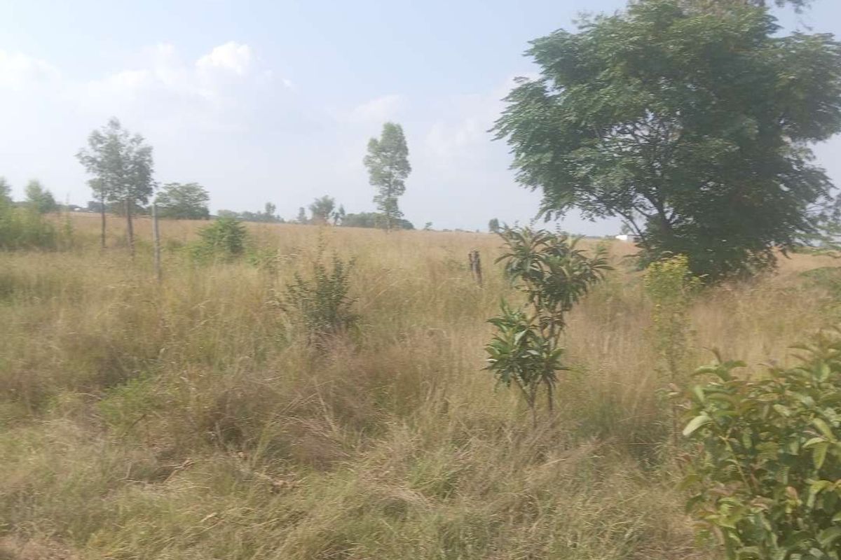 Vacant land in Pretoria North Onderstepoort - Photo 4