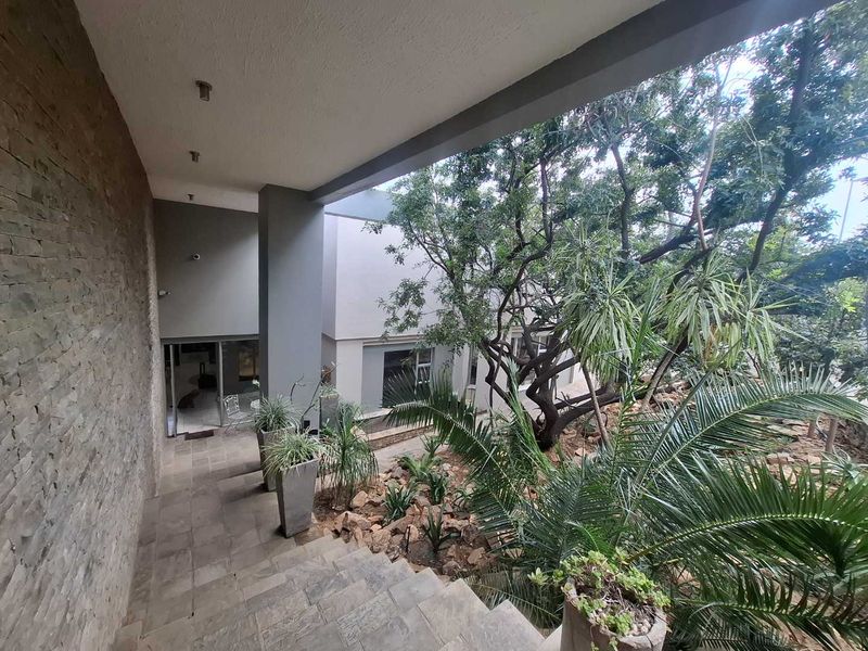 Modern Family Home in a Garden Oasis - Photo 7