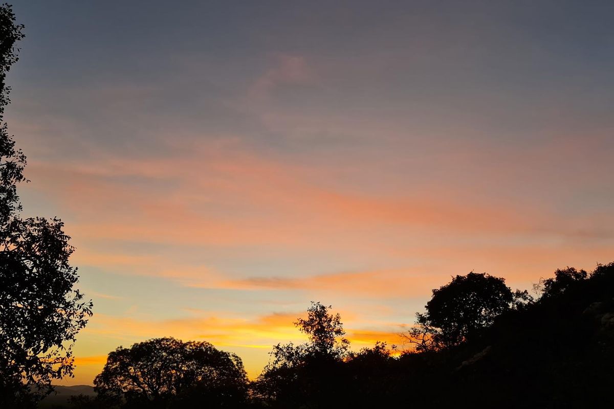 Luxury 6000ha Game Lodge & Stylish Campsite – Prime Tourism Investment! - Photo 4