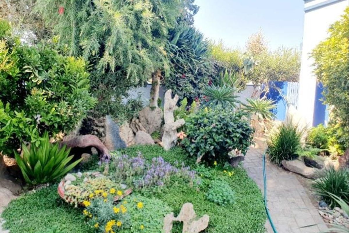 Newly Renovated 6-Bedroom Home for Sale in Henties Bay Central - Photo 2
