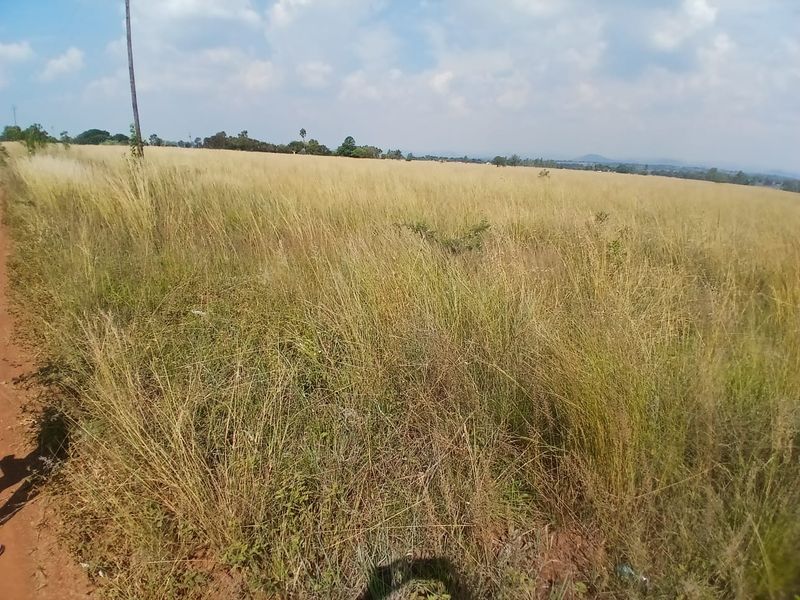 Experience Nature: Affordable Farm in Onderstepoort! - Photo 4