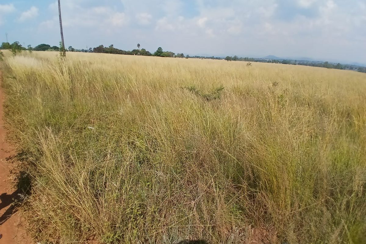 Experience Nature: Affordable Farm in Onderstepoort! - Photo 4