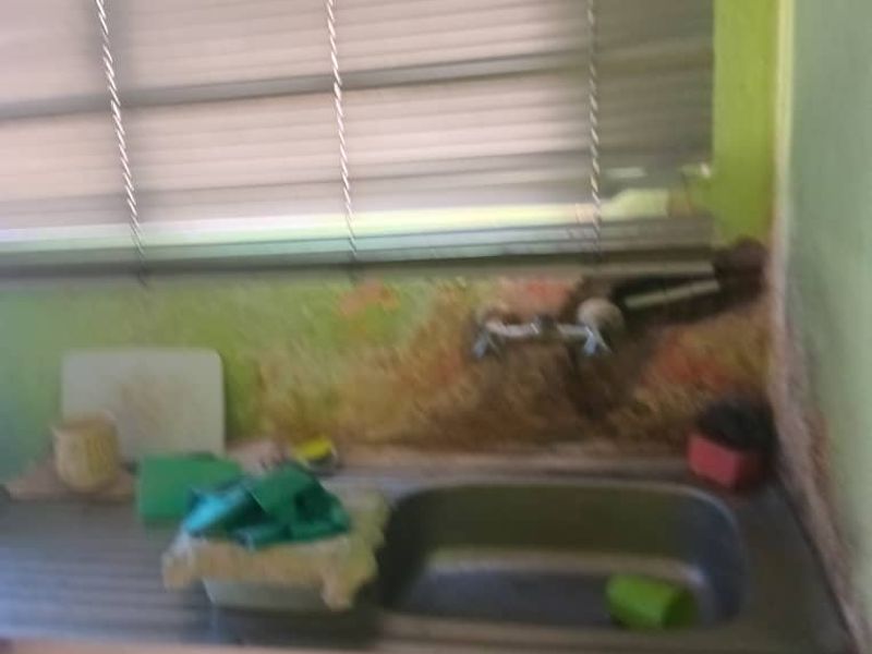 A small scullery or utility area featuring a stainless steel sink and wall-mounted faucet, currently showing significant wall surface damage and wear.