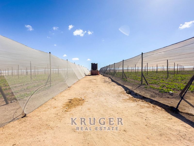 Productive Agricultural Smallholding with Established Income Stream - Photo 6
