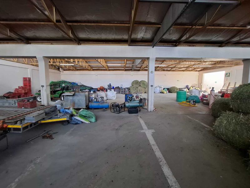 LARGE INDUSTRIAL PROPERTY WITH ENOUGH SQUARE METRES UNDER ROOF - Photo 3