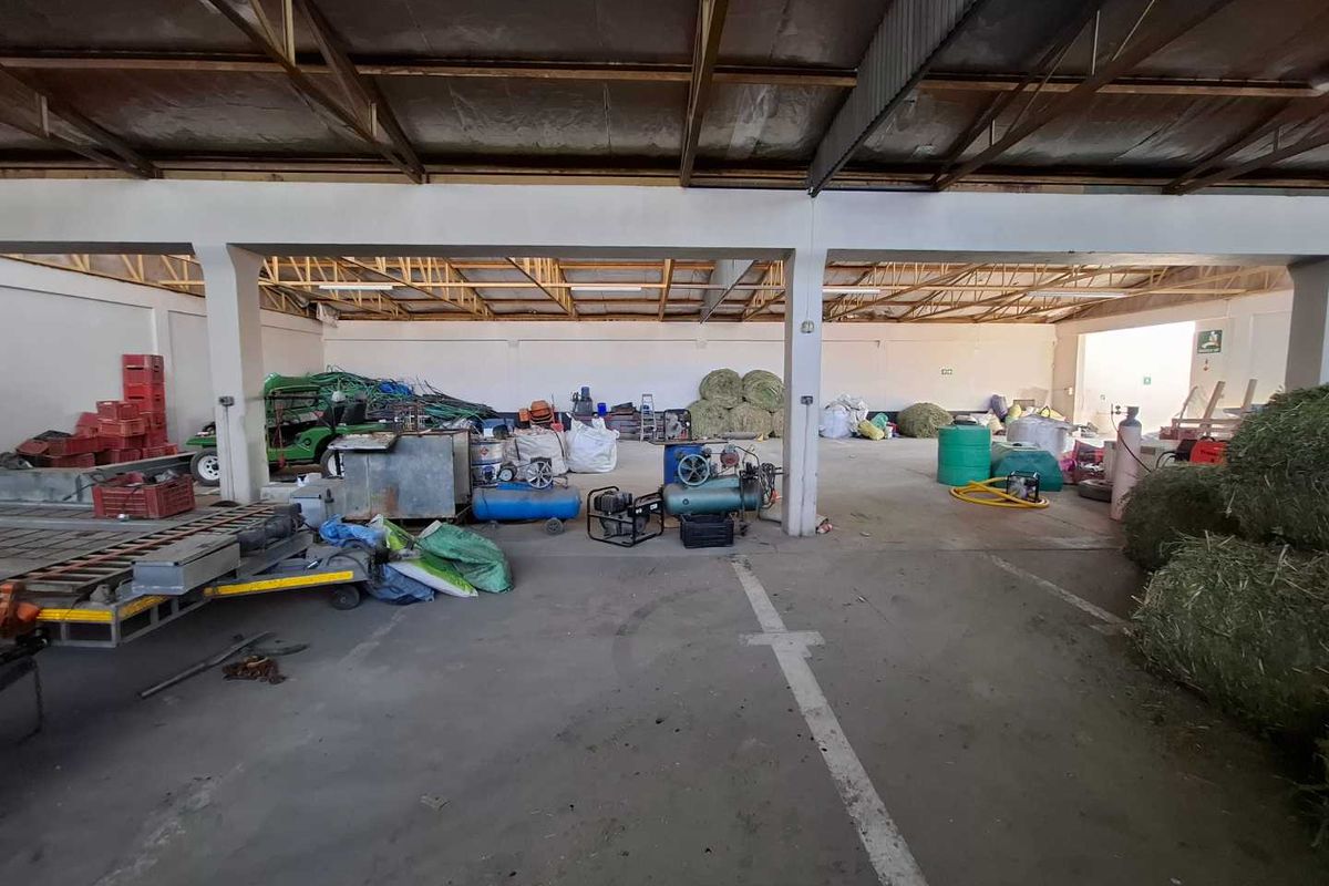 LARGE INDUSTRIAL PROPERTY WITH ENOUGH SQUARE METRES UNDER ROOF - Photo 3