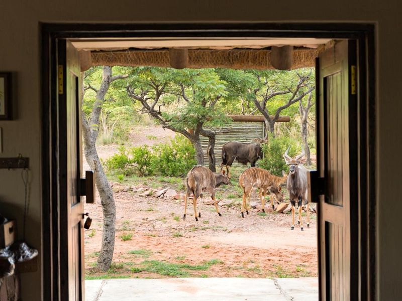 SPACIOUS SECURE AND WELL FURNISHED - FREE STANDING PRIVATE! - Photo 8