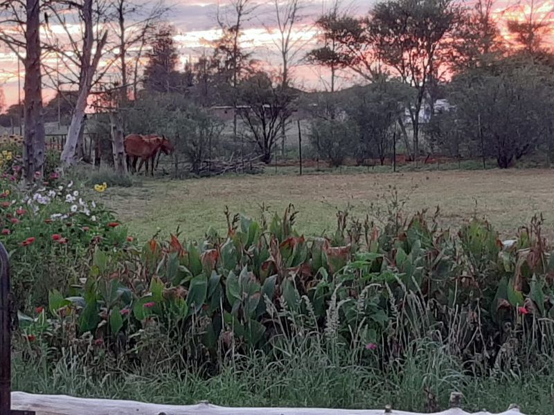 Country living at it's best - Photo 4