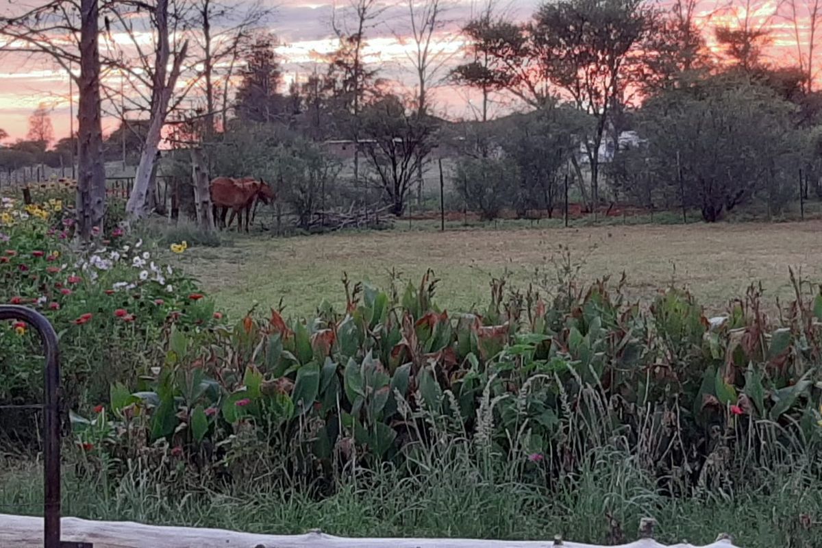 Country living at it's best - Photo 4