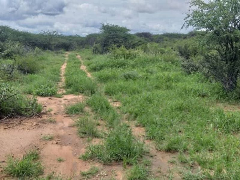 Farm for sale - Photo 3