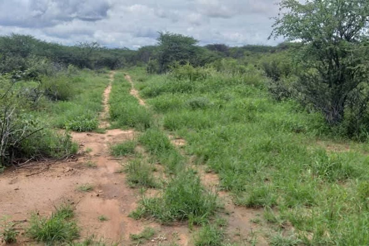 Farm for sale - Photo 3