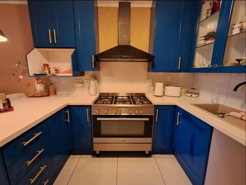 A functional kitchen featuring vibrant blue cabinetry, stainless steel gas stove with oven, extractor fan, and tiled flooring.