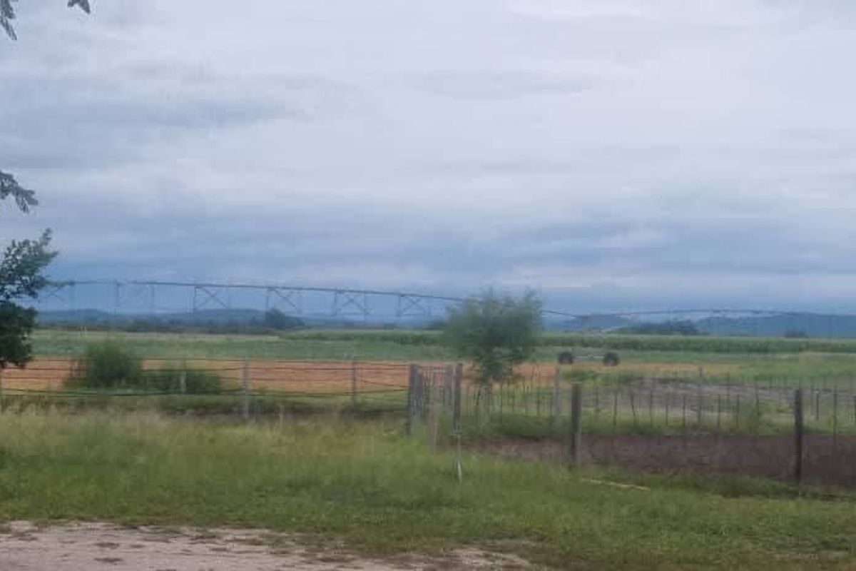 Walk in and produce in a friendly farm environment. - Photo 5