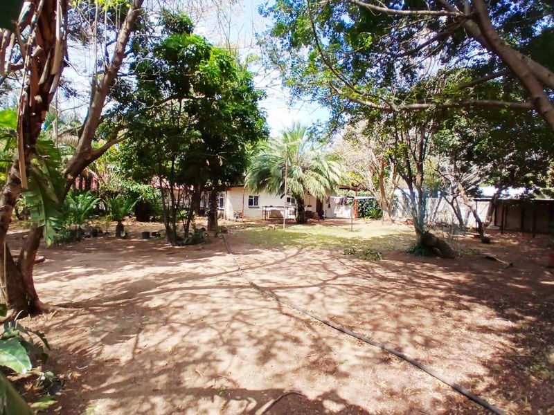 A spacious, tree-filled garden area featuring mature landscaping and a boundary wall, providing a private outdoor setting.