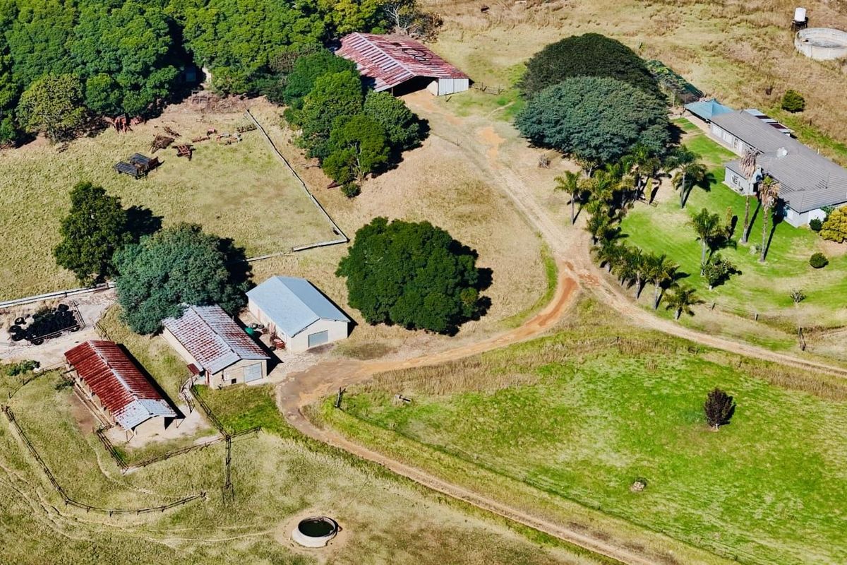 Farm for sale in the Vryheid area. - Photo 4
