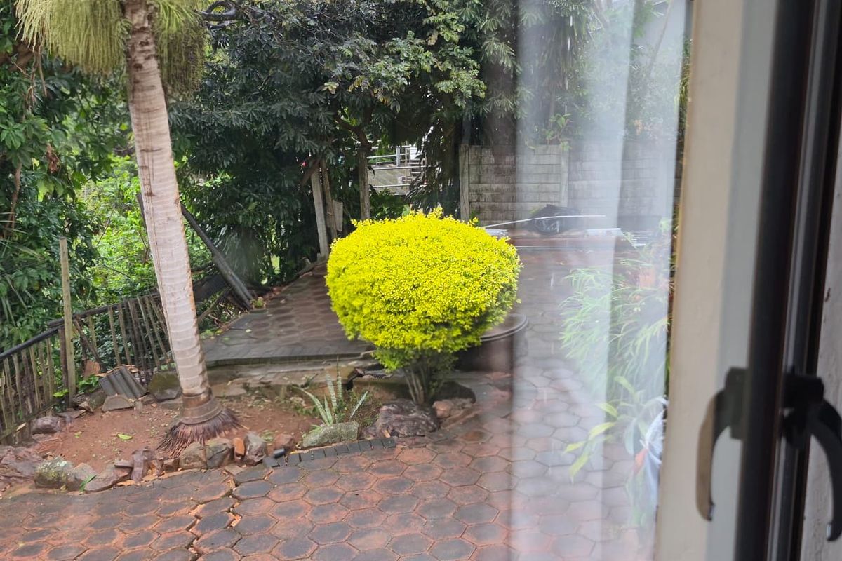 A view of a rear garden area featuring paved patio surfaces and established landscaping, viewed through a window.