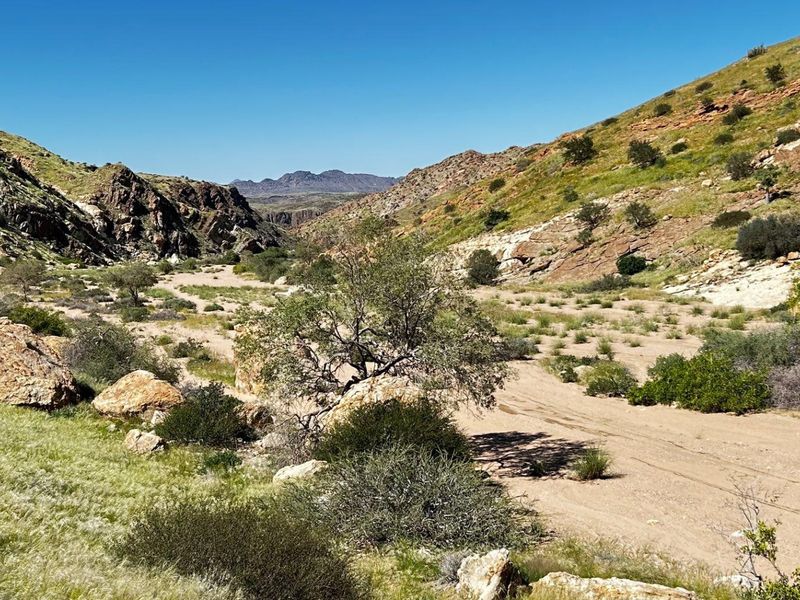 The Beauty of the Namib - Photo 1
