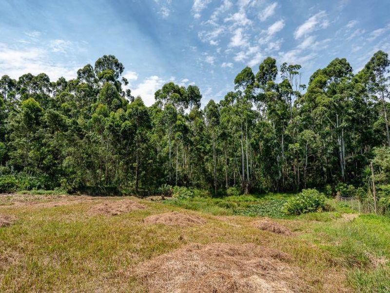 Your Dream Starts Here. Build in Beautiful Crestholme - Photo 6